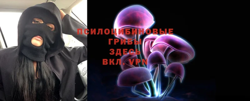 продажа наркотиков  Зеленокумск  Галлюциногенные грибы Psilocybe 